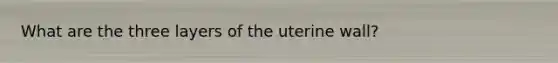 What are the three layers of the uterine wall?