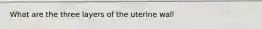 What are the three layers of the uterine wall