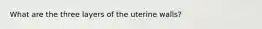 What are the three layers of the uterine walls?