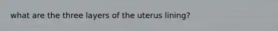 what are the three layers of the uterus lining?