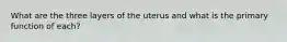 What are the three layers of the uterus and what is the primary function of each?