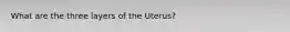 What are the three layers of the Uterus?