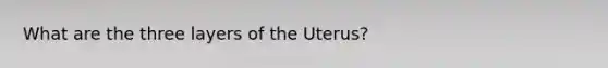 What are the three layers of the Uterus?