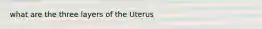 what are the three layers of the Uterus