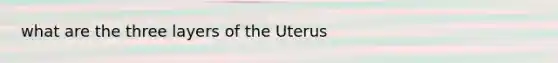 what are the three layers of the Uterus