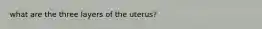 what are the three layers of the uterus?