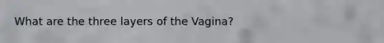 What are the three layers of the Vagina?