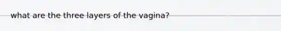 what are the three layers of the vagina?