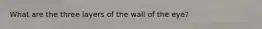 What are the three layers of the wall of the eye?