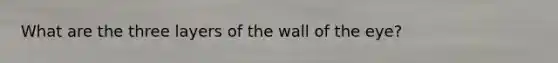 What are the three layers of the wall of the eye?