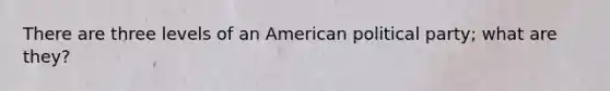 There are three levels of an American political party; what are they?