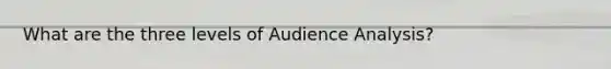 What are the three levels of Audience Analysis?