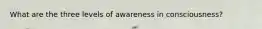 What are the three levels of awareness in consciousness?