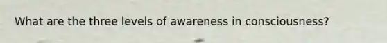 What are the three levels of awareness in consciousness?