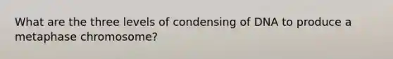 What are the three levels of condensing of DNA to produce a metaphase chromosome?