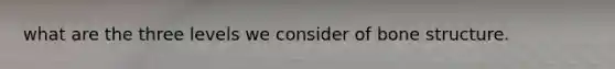 what are the three levels we consider of bone structure.