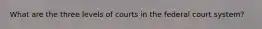 What are the three levels of courts in the federal court system?