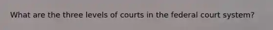 What are the three levels of courts in the federal court system?