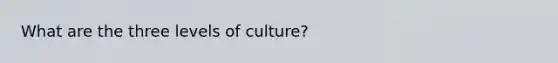 What are the three levels of culture?