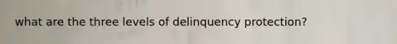 what are the three levels of delinquency protection?