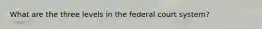 What are the three levels in the federal court system?