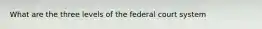 What are the three levels of the federal court system