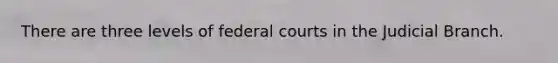 There are three levels of federal courts in the Judicial Branch.