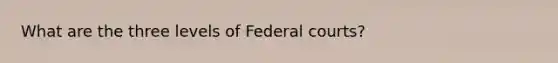 What are the three levels of <a href='https://www.questionai.com/knowledge/kzzdxYQ4u6-federal-courts' class='anchor-knowledge'>federal courts</a>?