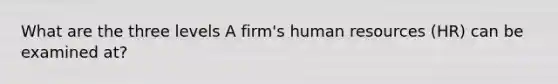 What are the three levels A firm's human resources (HR) can be examined at?