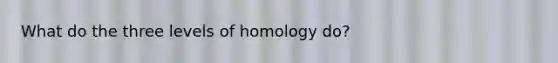 What do the three levels of homology do?