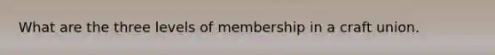 What are the three levels of membership in a craft union.