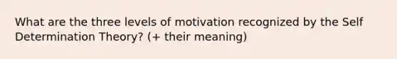 What are the three levels of motivation recognized by the Self Determination Theory? (+ their meaning)