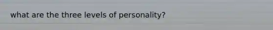 what are the three levels of personality?