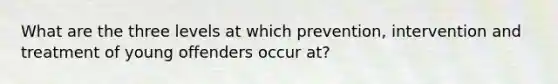 What are the three levels at which prevention, intervention and treatment of young offenders occur at?