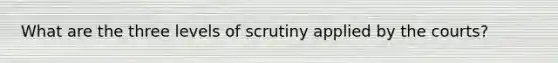 What are the three levels of scrutiny applied by the courts?