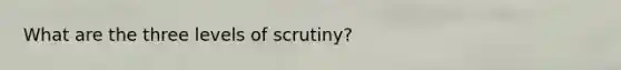 What are the three levels of scrutiny?