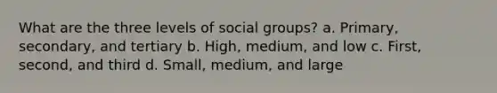 What are the three levels of social groups? a. Primary, secondary, and tertiary b. High, medium, and low c. First, second, and third d. Small, medium, and large