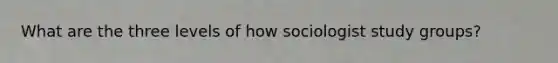 What are the three levels of how sociologist study groups?