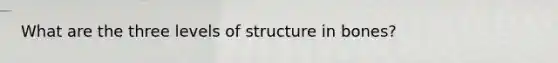 What are the three levels of structure in bones?