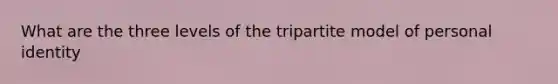 What are the three levels of the tripartite model of personal identity