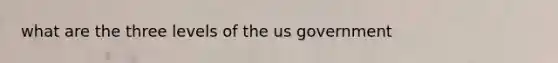 what are the three levels of the us government