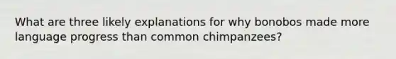 What are three likely explanations for why bonobos made more language progress than common chimpanzees?