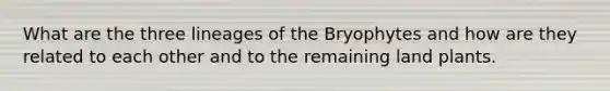 What are the three lineages of the Bryophytes and how are they related to each other and to the remaining land plants.