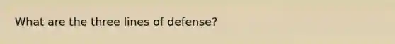 What are the three lines of defense?