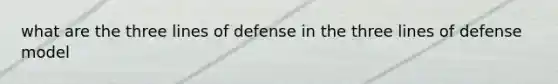 what are the three lines of defense in the three lines of defense model