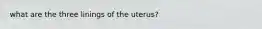 what are the three linings of the uterus?