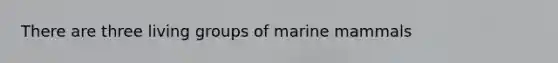 There are three living groups of marine mammals