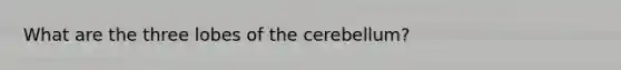 What are the three lobes of the cerebellum?