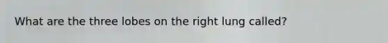 What are the three lobes on the right lung called?