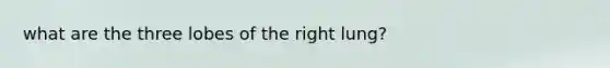 what are the three lobes of the right lung?